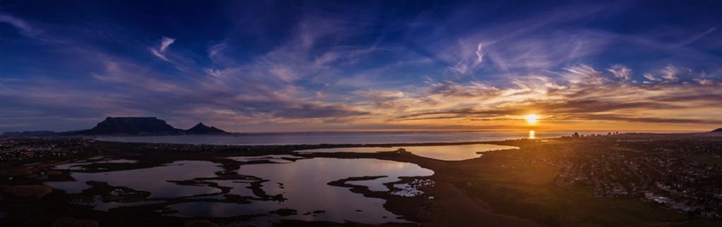 flamingo-vlei001 – Greater Table View Action Forum