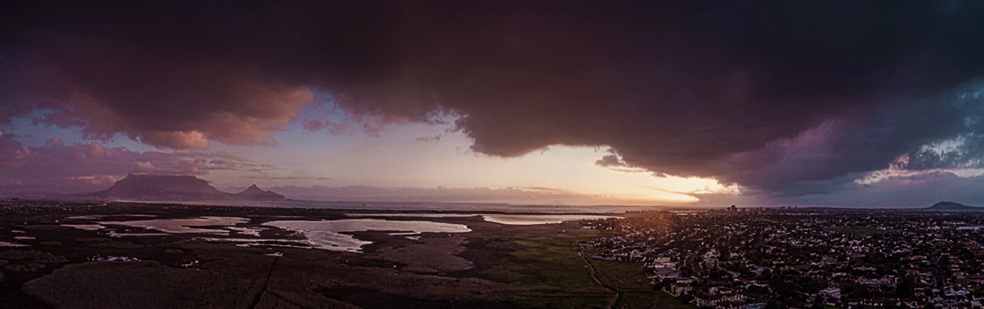 flamingo-vlei002 – Greater Table View Action Forum