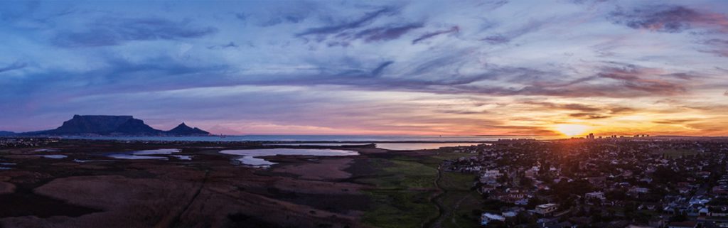 flamingo-vlei003 – Greater Table View Action Forum